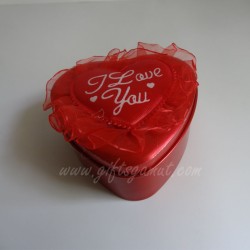 Valentine Suprise Box