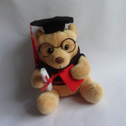 Graduate Teddy 